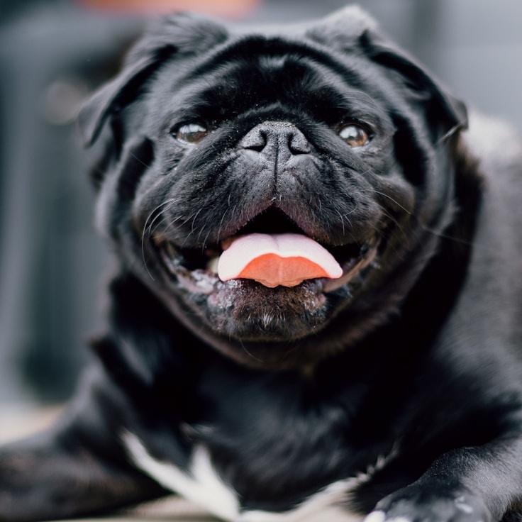 Rahul Desai, Client Relations Director, discussing corporate gifting strategy with business clients